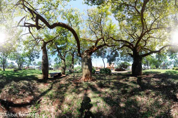 _DSC1631 Panorama1.jpg